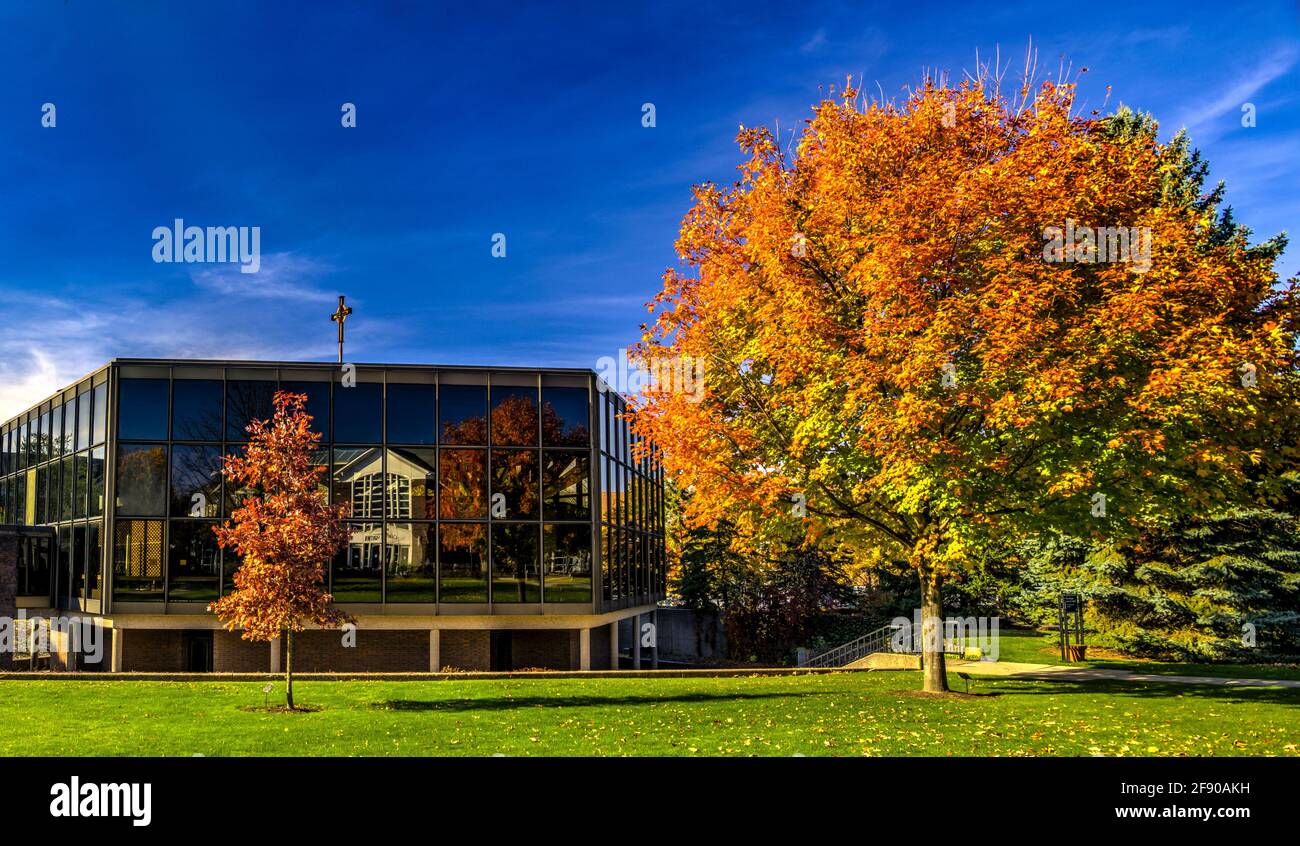 Campus in autunno colori, Macalester College, Saint Paul, Minnesota, Stati Uniti Foto Stock