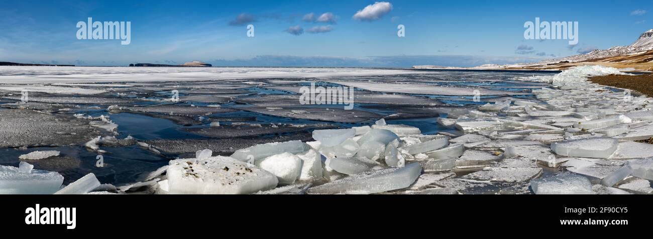 Ice floe e costa, Islanda Foto Stock