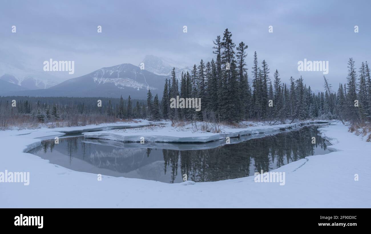 Mount Lawrence grassi e policeman's Creek in inverno, Canmore, Bow Valley Provincial Park, Alberta, Canada Foto Stock