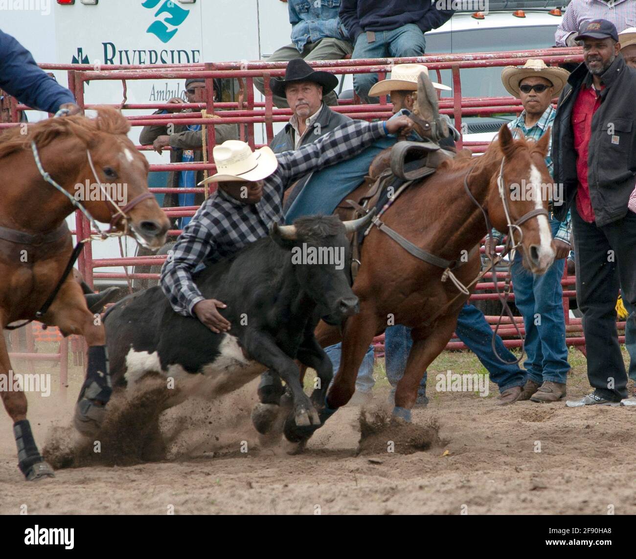 Produzioni del rodeo di Latting Pembroke Township Foto Stock