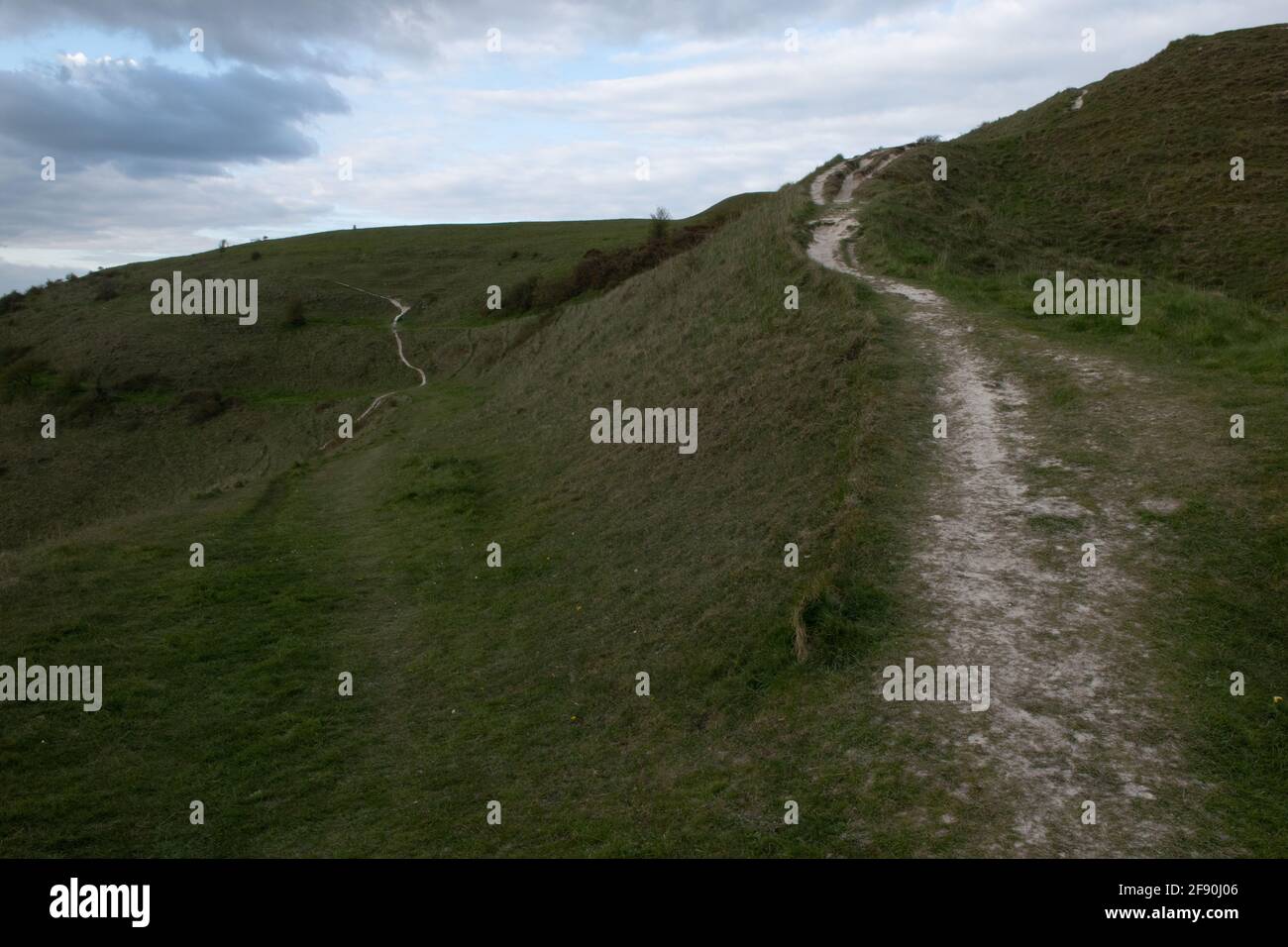 Percorsi attraverso Cley Hill, Wiltshire, Regno Unito Foto Stock