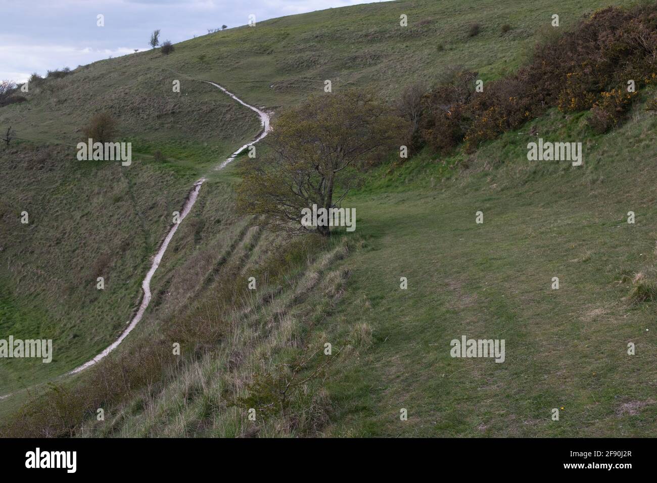 Cley Hill, Wiltshire, Regno Unito Foto Stock