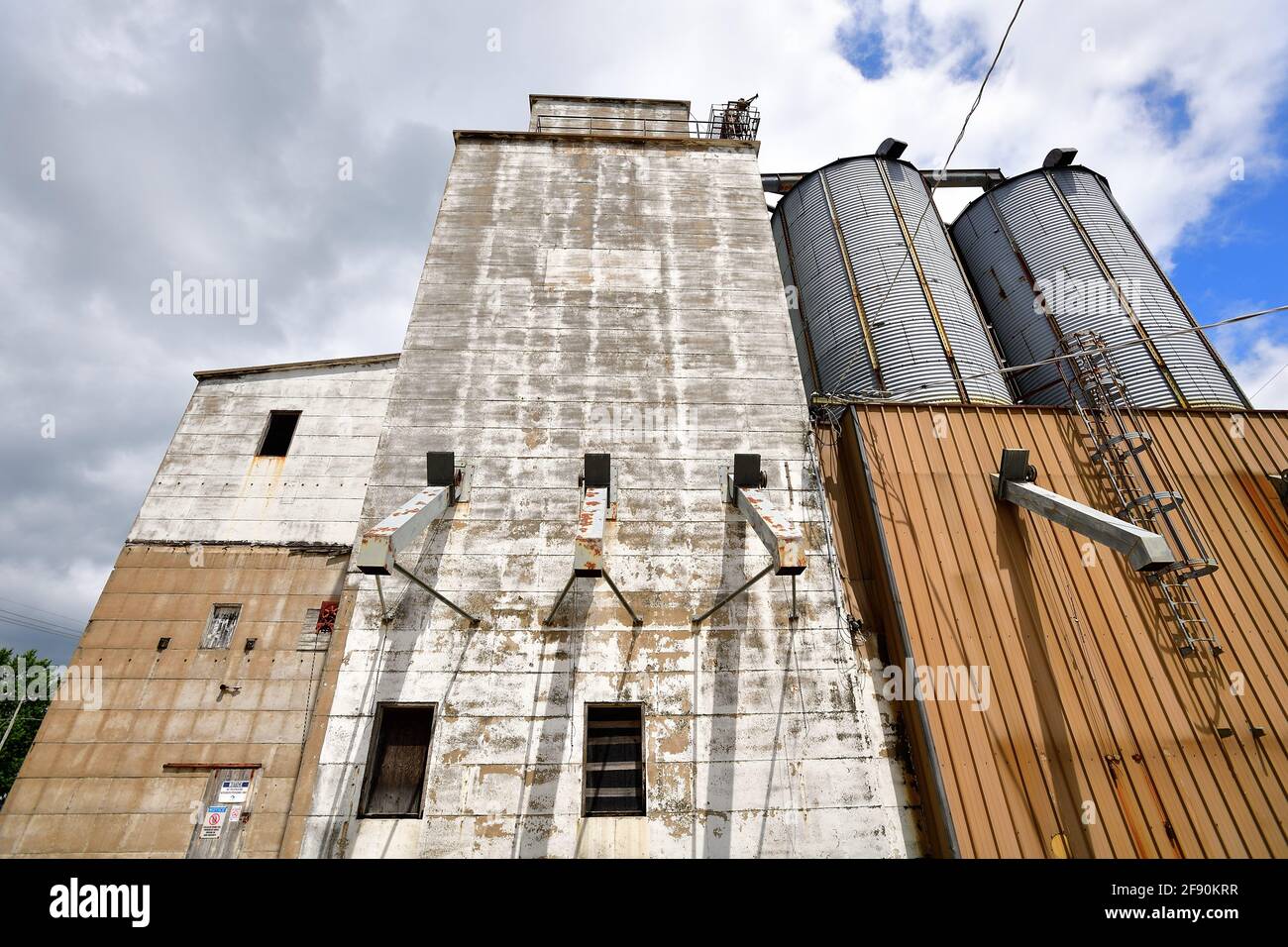 Ashton, Illinois, Stati Uniti. Una varietà di elevatori di grano punteggiano lo skyline di una piccola città dominata dall'agricoltura. Foto Stock