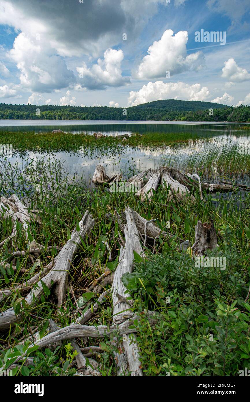 Eagle Lake, il Parco Nazionale di Acadia, Maine Foto Stock