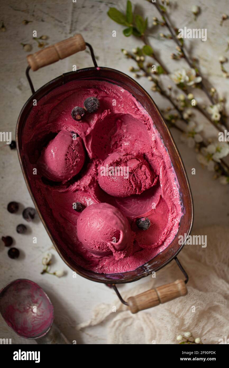 Gelato al ribes nero in una lattina di metallo con alcuni di si è messo in palle Foto Stock