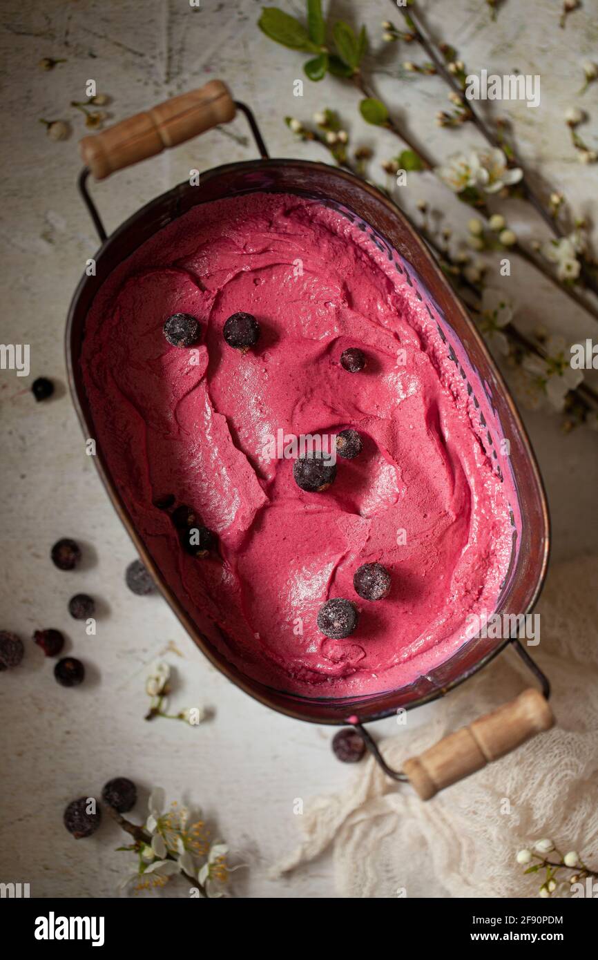 Una vasca di metallo piena di gelato al ribes nero e sormontata con qualche ribes nero congelato Foto Stock