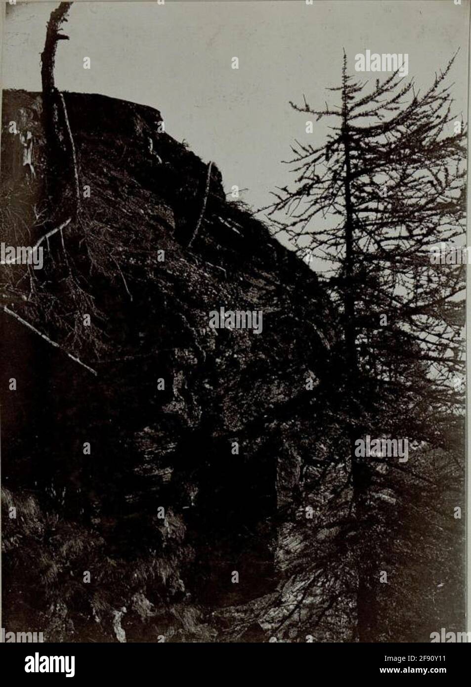 Osservatorio sul Montozzo. Foto Stock