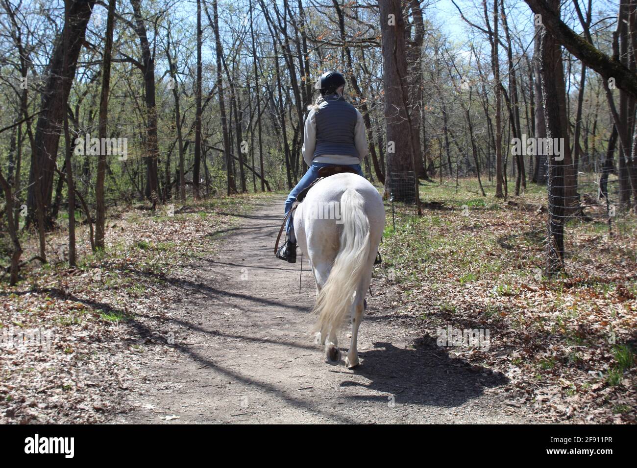Donna che cavalcava un cavallo bianco in primavera a Linne Woods a Morton Grove, Illinois Foto Stock