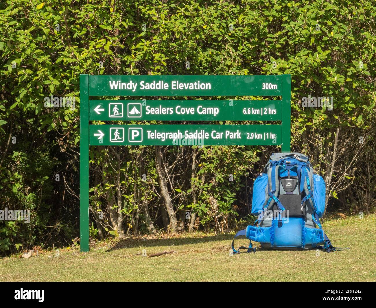 Una breve pausa a Windy Saddle per l'escursione dalla sella Telegraph a Sealers Cove - Wilsons Promontory, Victoria, Australia Foto Stock