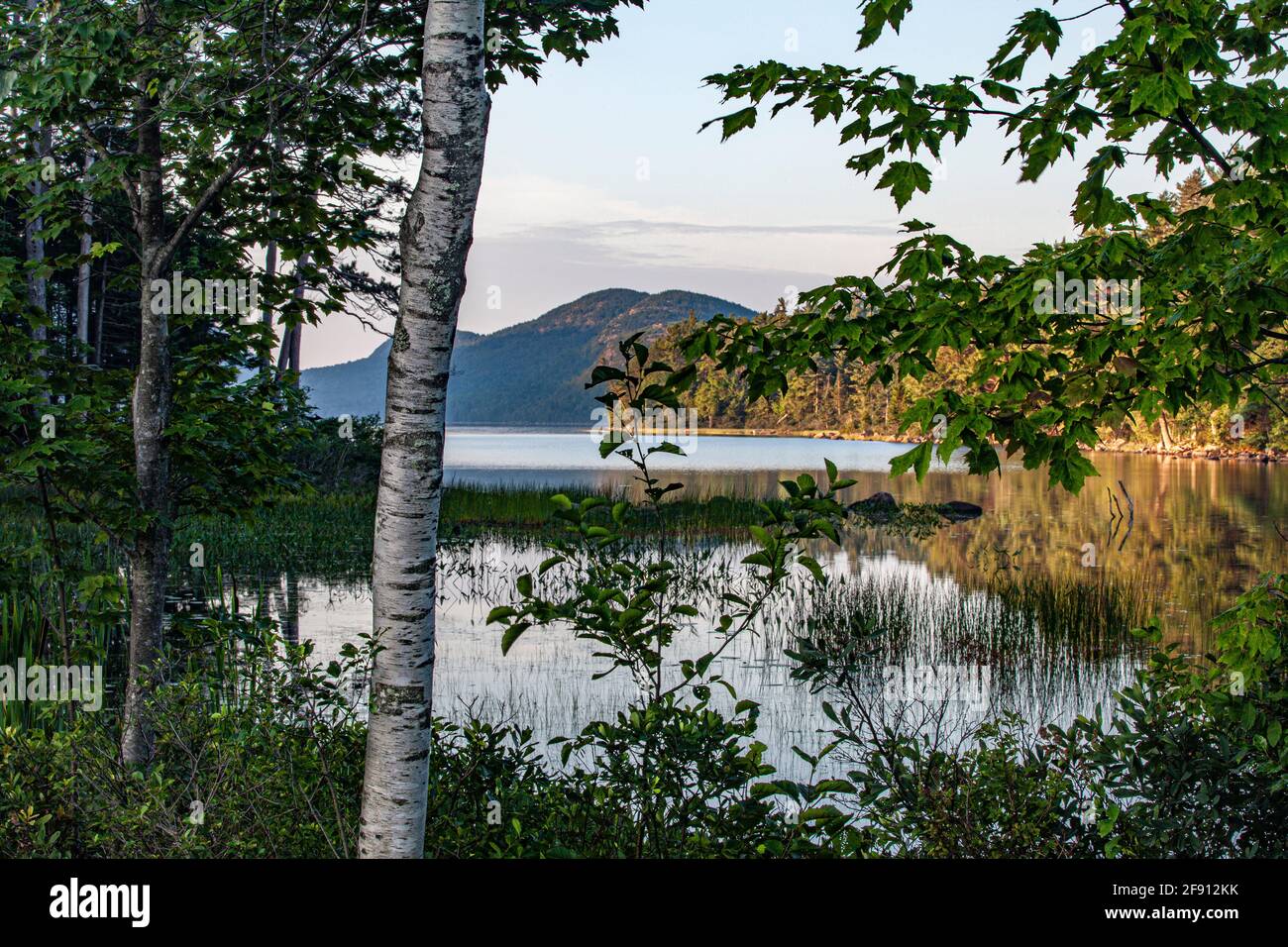 Eagle Lake, il Parco Nazionale di Acadia, Maine Foto Stock