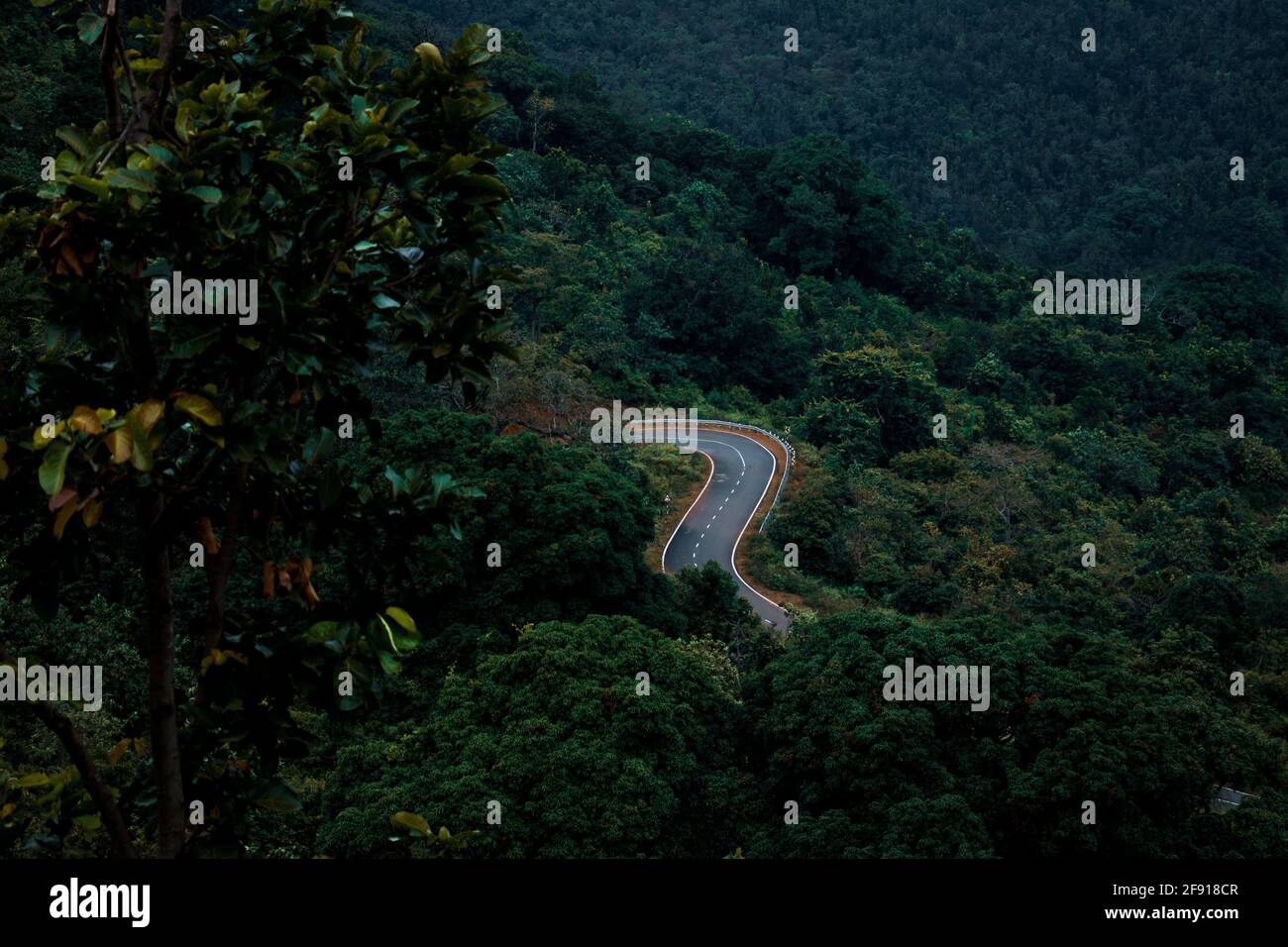 Vista aerea di una tortuosa autostrada che passa attraverso il verde deciduo foreste Foto Stock