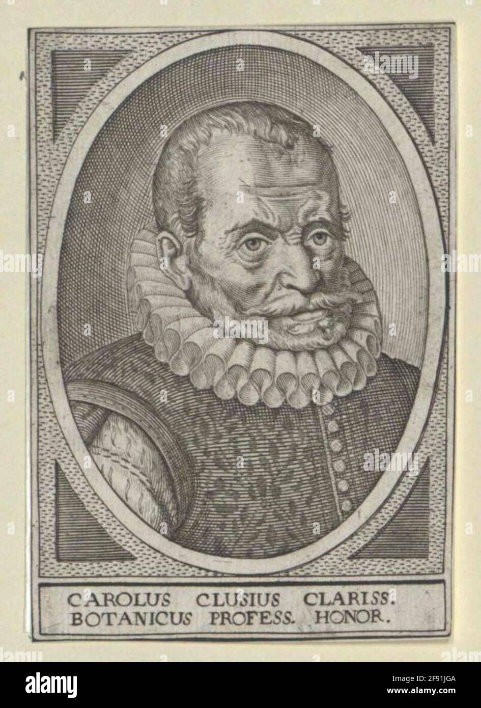 L'Ecluse, Charles de. Foto Stock L'Ecluse, Charles de. Foto Stock