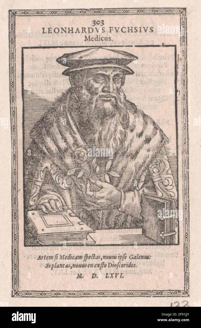 Fox, Leonhard Editore: Jobin, Bernhardstecher: Stimmer, TobiStecher: Murer, Christopherlagsort: Strasbourg Foto Stock