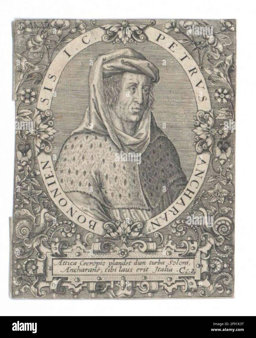 Ancarano, Pietro d'. Foto Stock