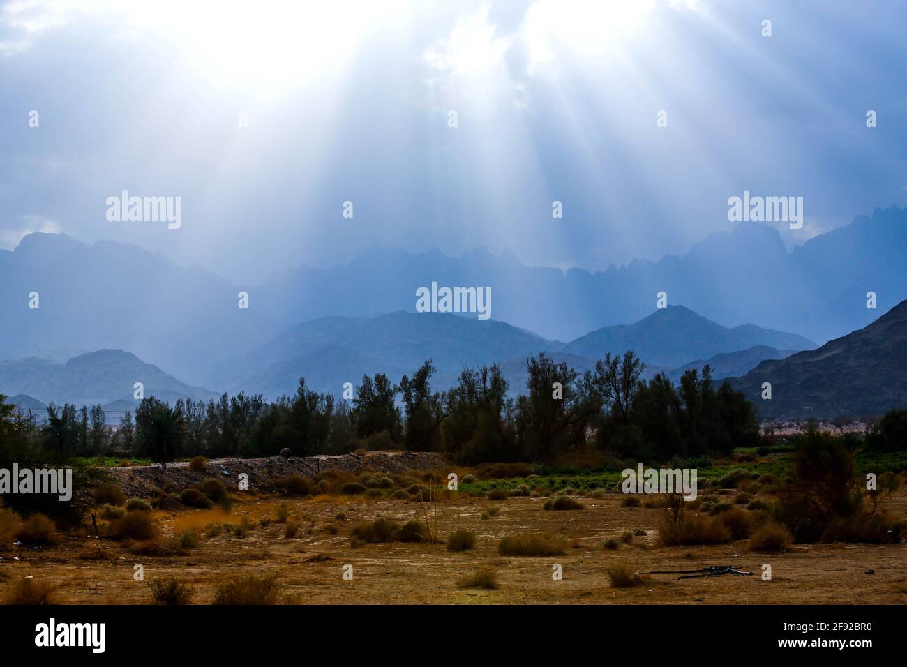 Al Hada Montagne paesaggi vicino Taif, Arabia Saudita occidentale Foto Stock