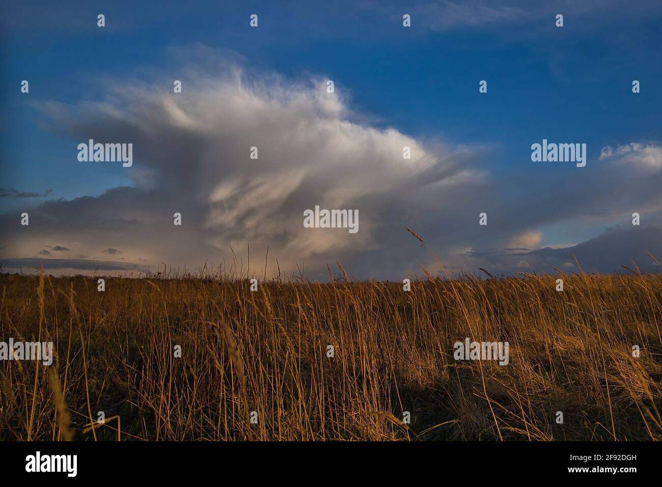 Gewitterwolke Foto Stock