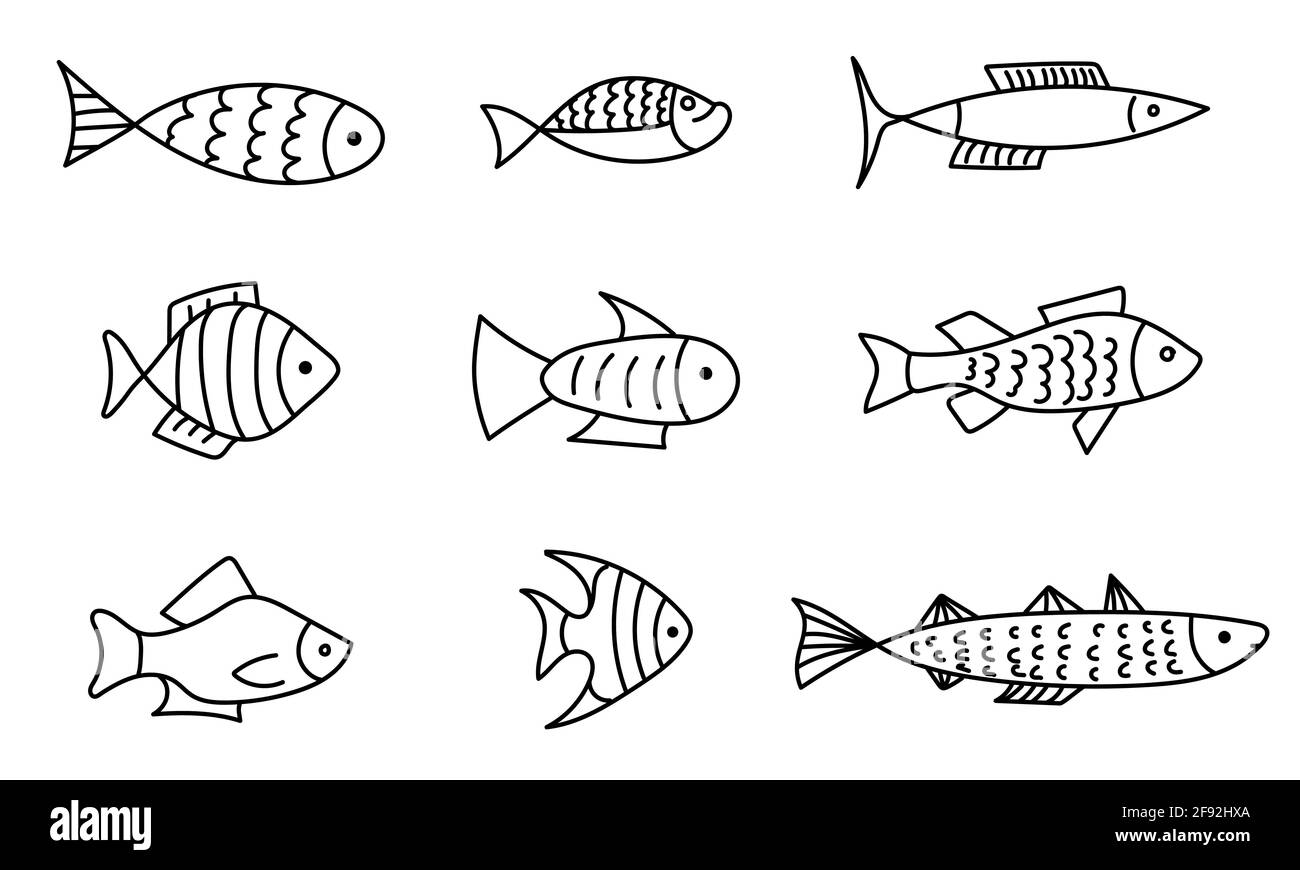 Insieme di icone di disegno di pesce con linea di schizzo. Illustrazione vettoriale disegnata a mano. Pesce di mare e di fiume Illustrazione Vettoriale