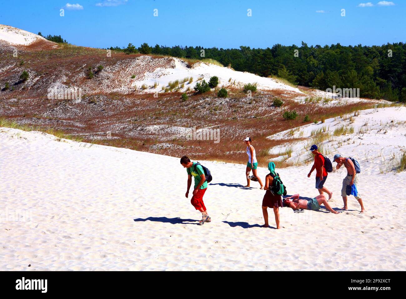 Polonia, Parco Nazionale Slowinski, voivodato Pomerania. Foto Stock