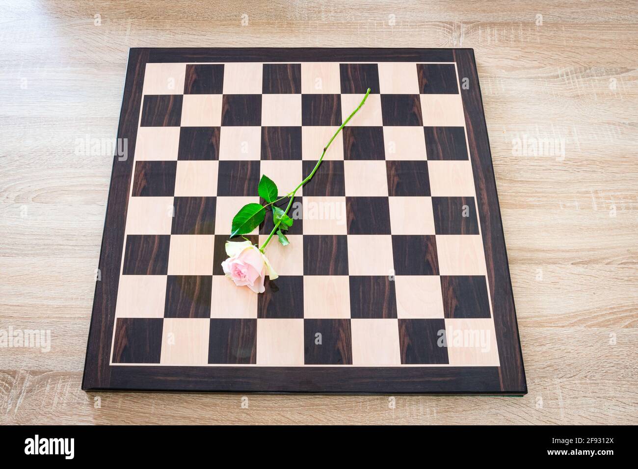 Rosa su una scacchiera Foto Stock