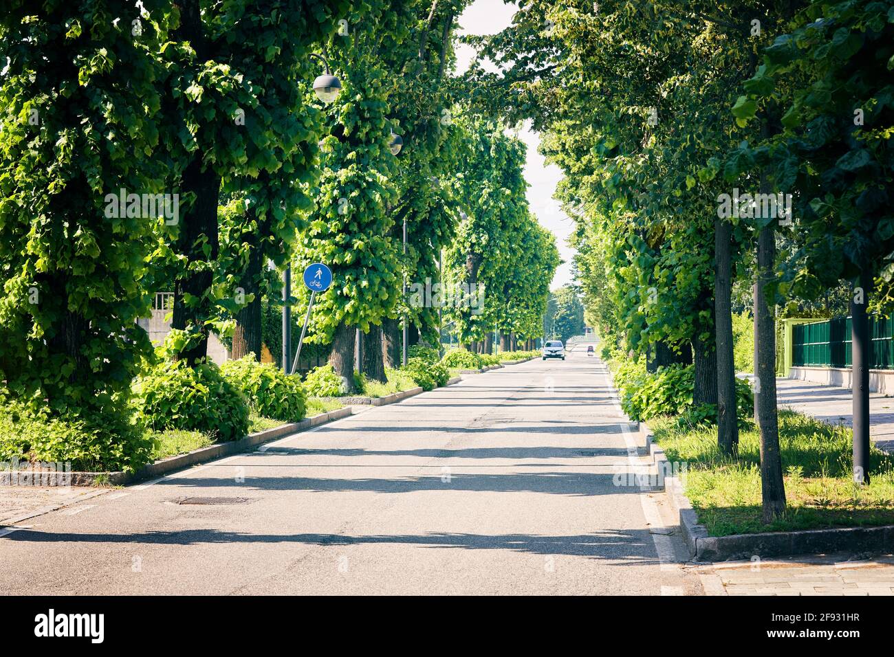 Auto che guida su strada d'estate vicolo. Tranquilla strada cittadina, marciapiede e case idilliache in un quartiere suburbano Foto Stock