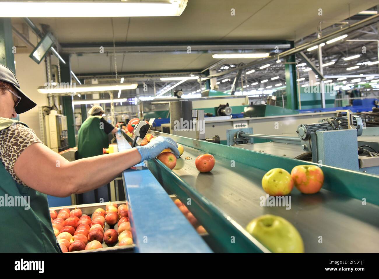 industria alimentare: linea di assemblaggio con mele e lavoratori Foto Stock