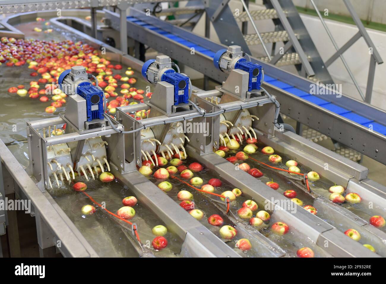 trasporto di mele raccolte di recente in una fabbrica alimentare per la vendita Foto Stock