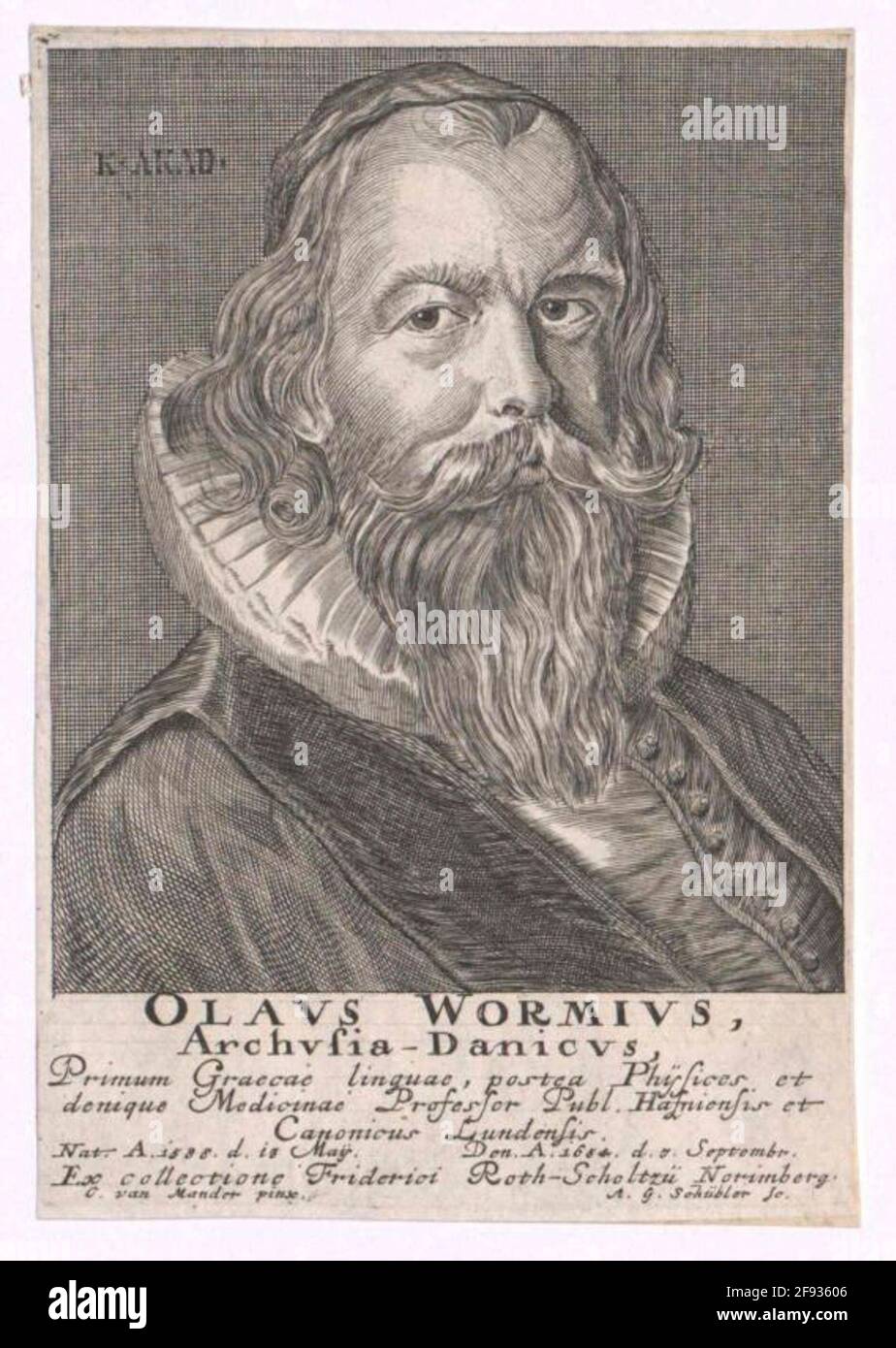 Worm, Ole Pittore: Mender, Karel Van (3) Stecher: Schütler, Andreas Georg Foto Stock