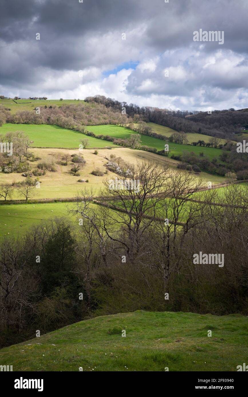 Le pendici meridionali delle colline di Mendip in primavera si vedevano da Milton Hill sopra la città di Wells, Somerset, Inghilterra. Foto Stock