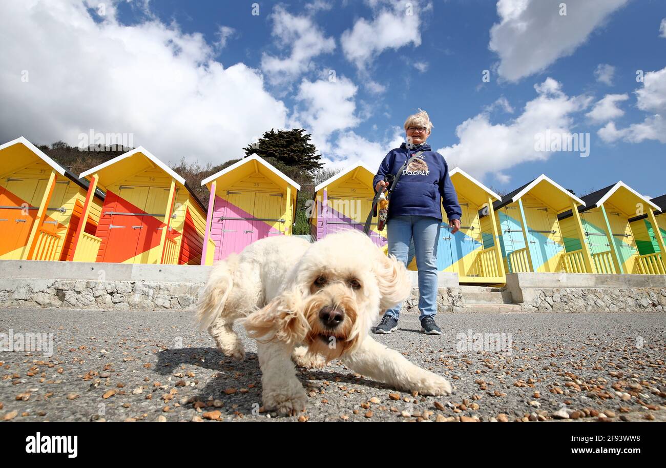 Angela Dillon prende Lily, un Goldendoodle in miniatura, per una passeggiata al sole davanti alle capanne da spiaggia recentemente rinnovate a Folkestone, Kent, che saranno incluse nel Folkestone Triennial Arts Festival più avanti quest'anno. Data immagine: Venerdì 16 aprile 2021. Foto Stock