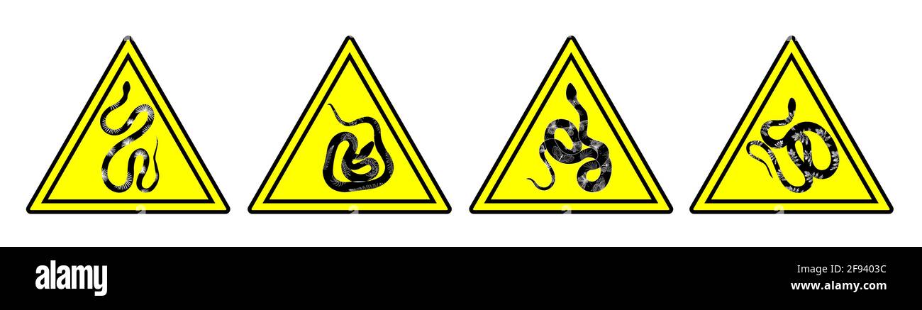 Serpente. Sfondo con serpenti neri. Segnale di divieto e di avvertenza. Triangolo giallo. Rettili esotici. Illustrazione vettoriale Illustrazione Vettoriale