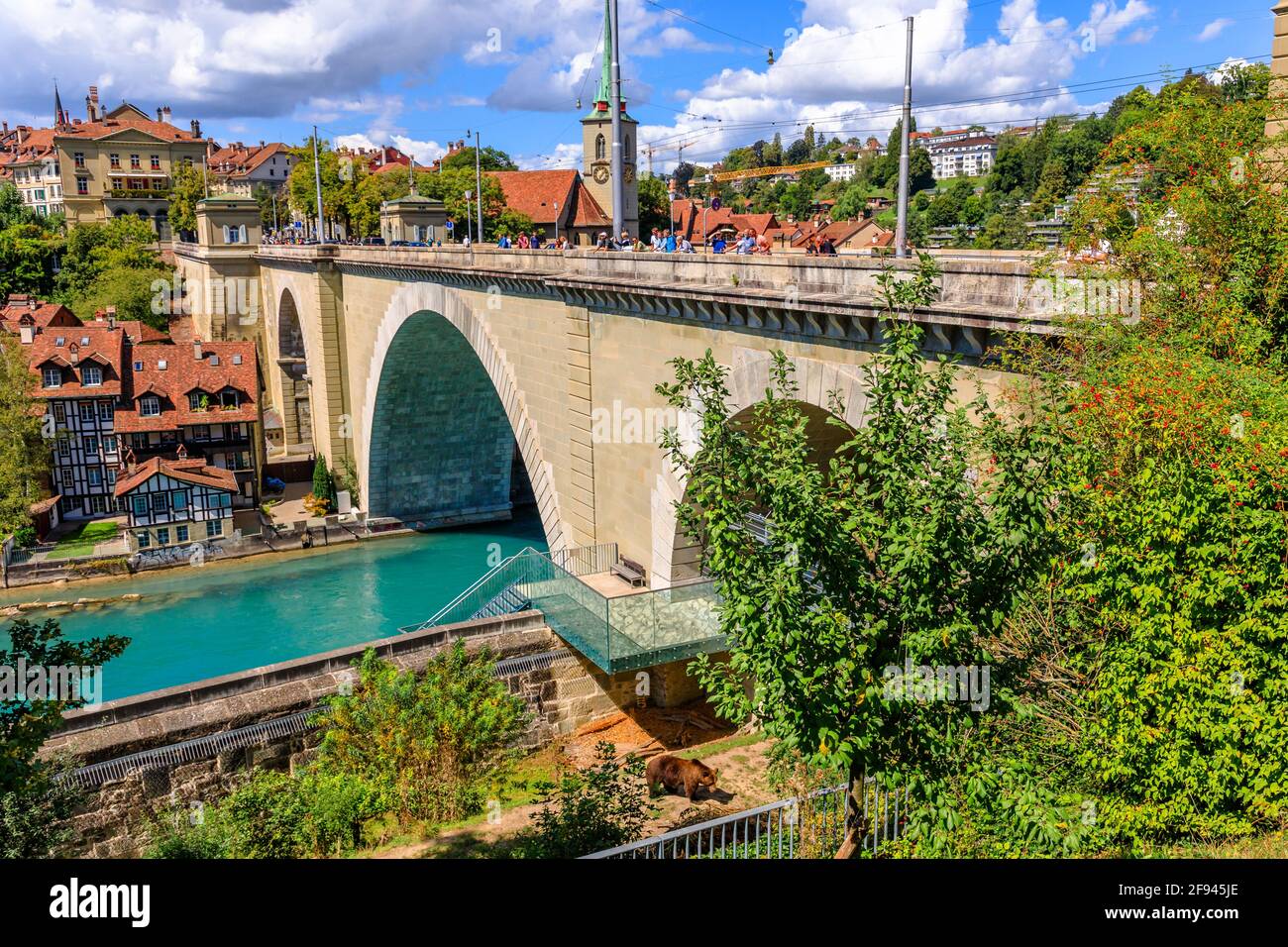 Berna, Svizzera - 23 agosto 2020: Turisti che cercano un orso nuotano all'interno del Bear Pit dal ponte di Nydeggbrucke. Destinazioni turistiche a Berna Foto Stock