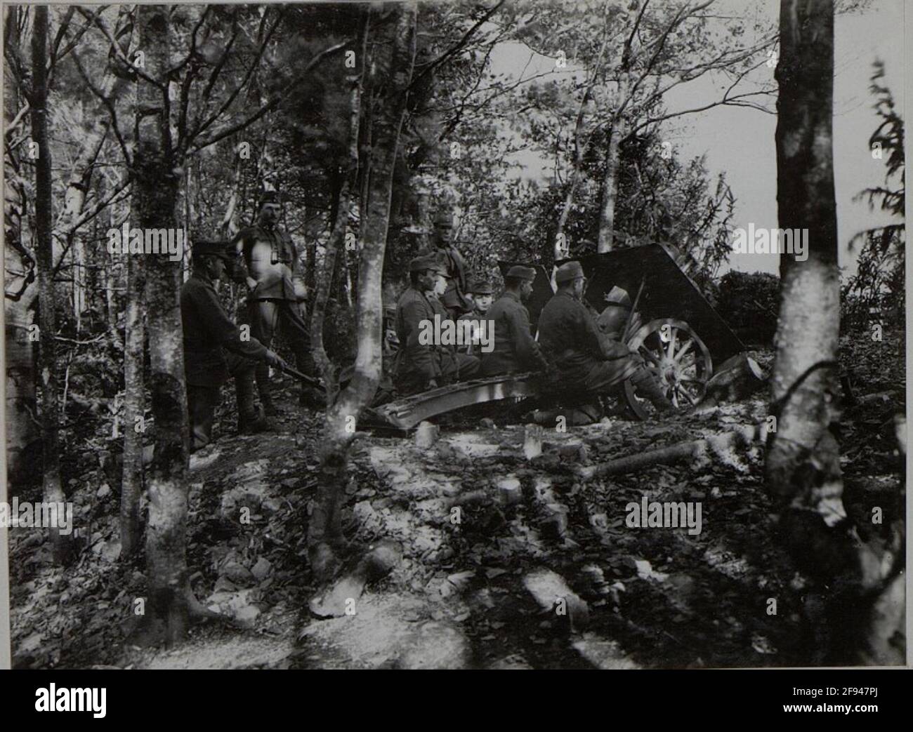 7.5cm cannoni di montagna in posizione di fuoco nella trincea D.J.R. 93 Tlocznya 921 settembre 16. Foto Stock