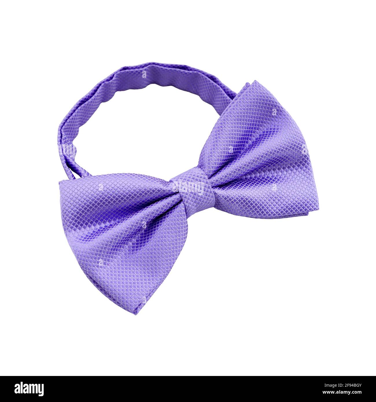 Fascetta viola isolata su sfondo bianco. Accessorio uomo per cerimonia nuziale Foto Stock