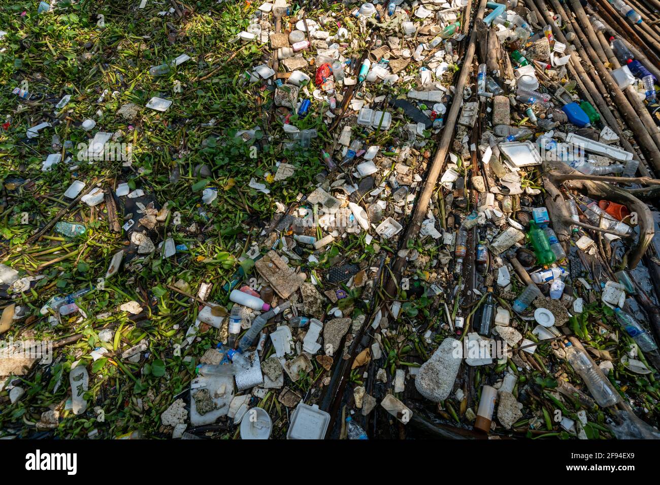 La superficie del fiume è inquinata da rifiuti e plastica miscelati con piante d'acqua tropicali locali in un estury nell'area urbana di Bangkok, Thailandia. Foto Stock