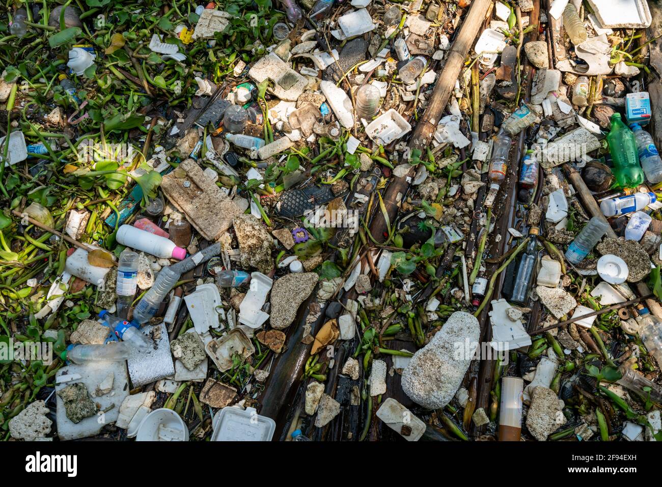 La superficie del fiume è inquinata da rifiuti e plastica miscelati con piante d'acqua tropicali locali in un estury nell'area urbana di Bangkok, Thailandia. Foto Stock