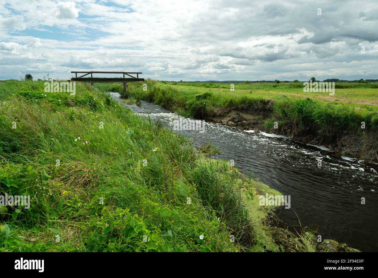 Una riva erbosa di un piccolo fiume nella Polonia orientale, Lubelskie, Czulczyce Foto Stock