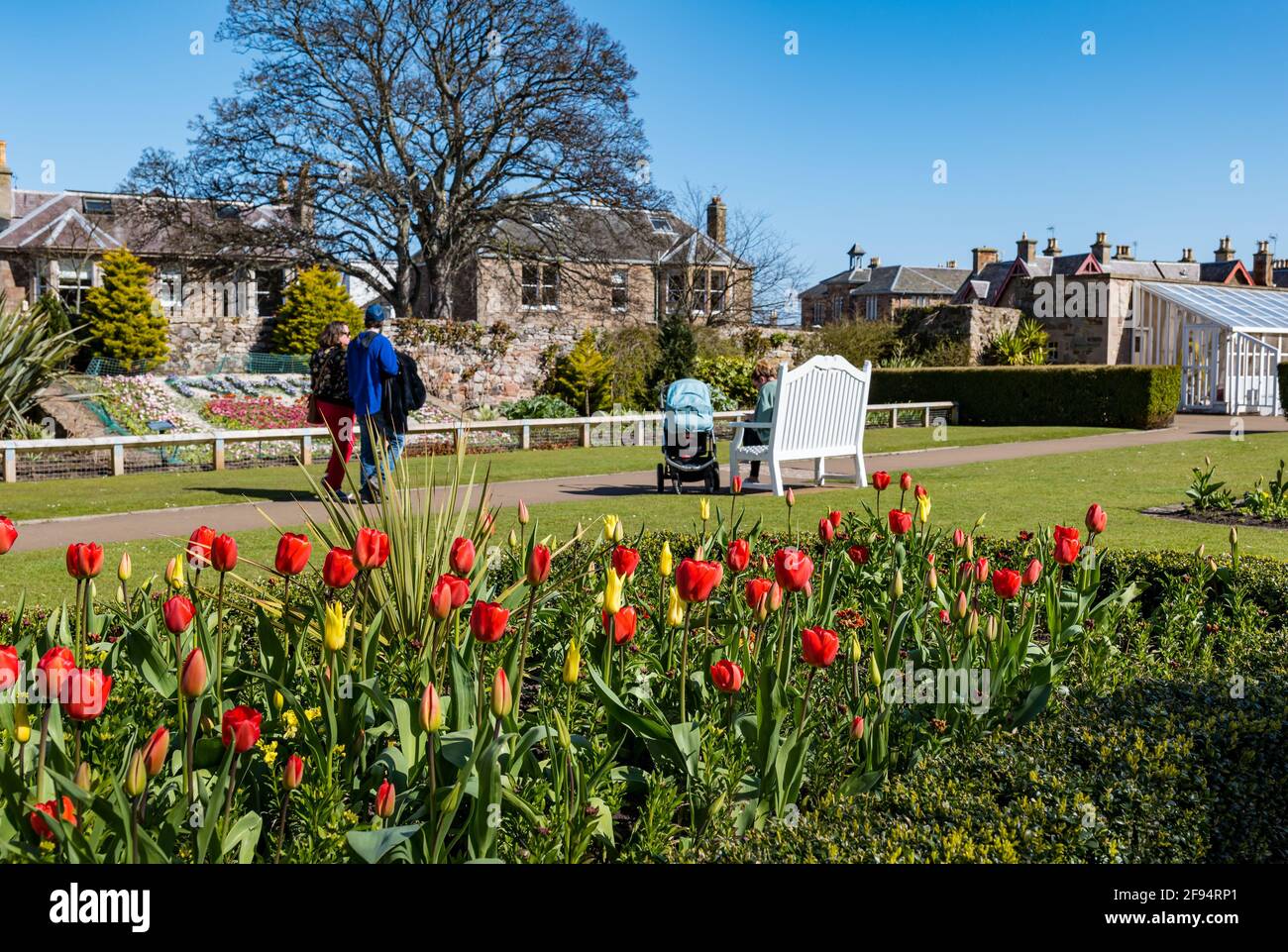 North Berwick, East Lothian, Scozia, UnitedKingdom, 16 aprile 2021. Le persone si dirigono verso il mare dopo che le restrizioni di viaggio sono sollevate: Il sole è fuori, il tempo è più caldo e la gente può ancora una volta godere di un viaggio alla città costiera. Nella foto: Persone, tulipani e fiori nel giardino del Lodge Foto Stock