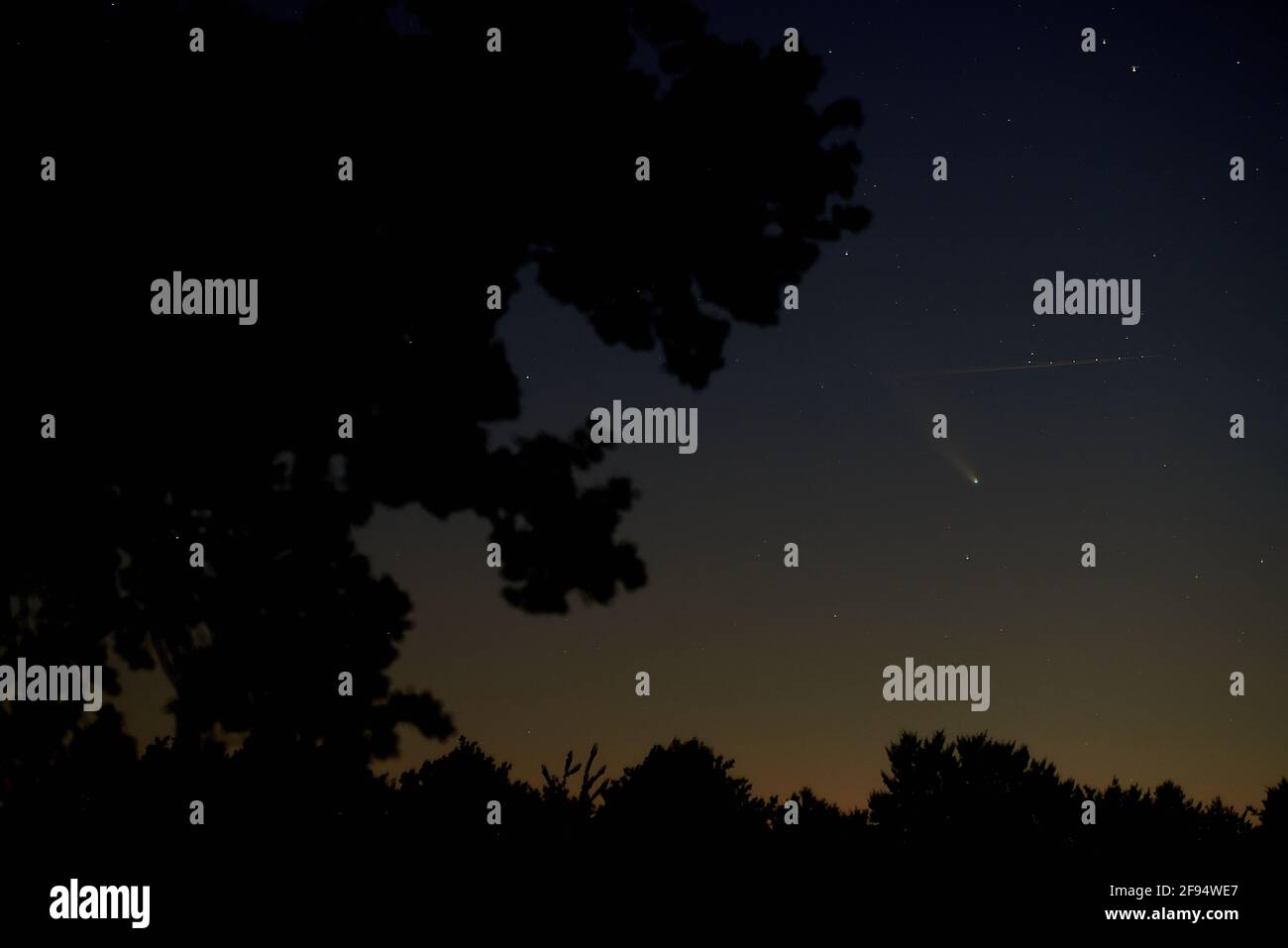 Cometa Neoswise visibile nel cielo notturno sul Regno Unito Nel luglio 2020 Foto Stock