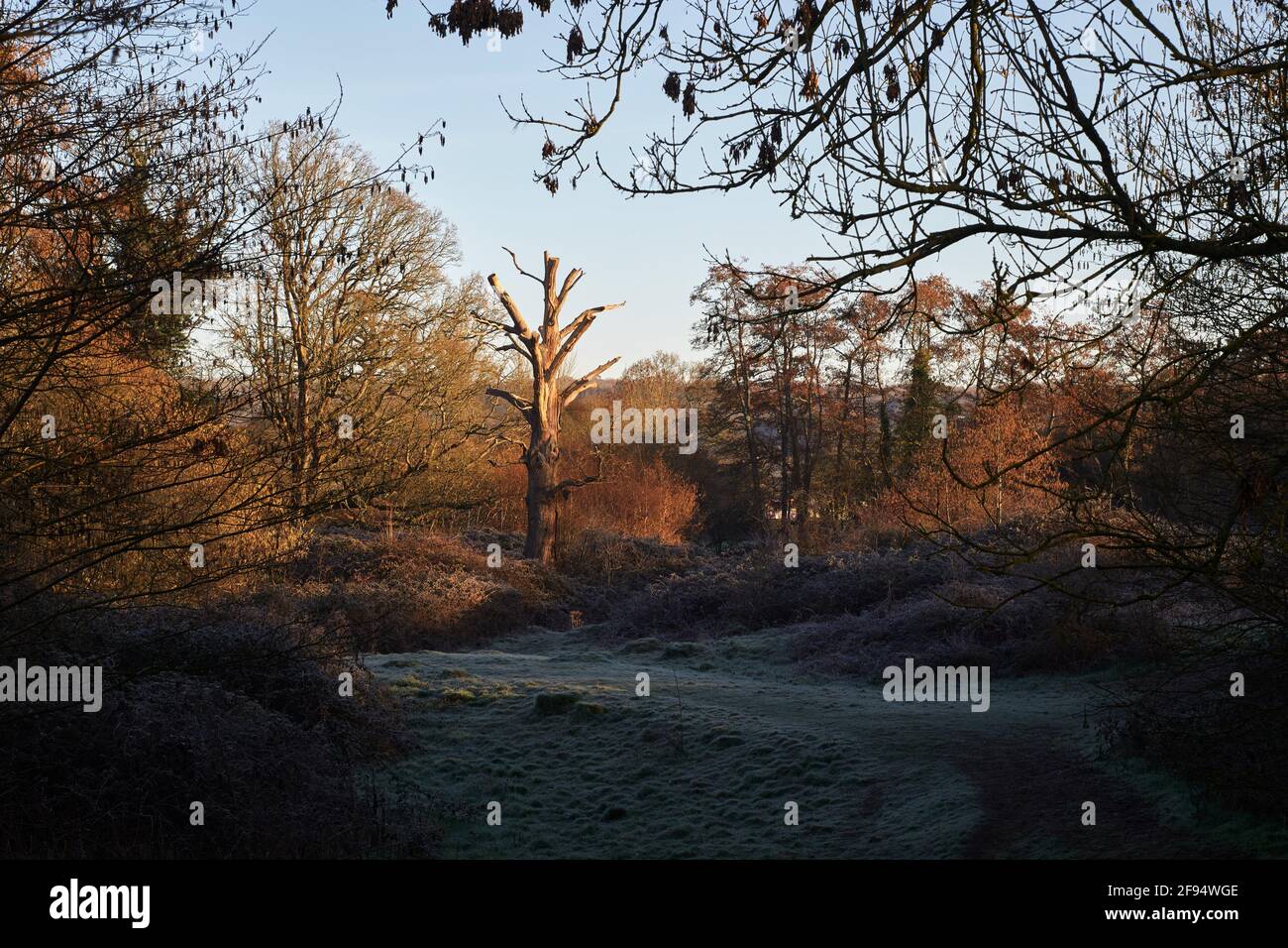 Resti di un vecchio castello normanno Motte e Bailey a Chennells Brook a North Horsham, West Sussex Foto Stock