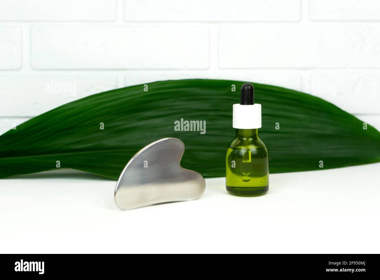 Un olio di cannabis verde CBD senza marchio con uno strumento di raschiatura per il massaggio di Gua sha giace su una foglia verde. Foto Stock