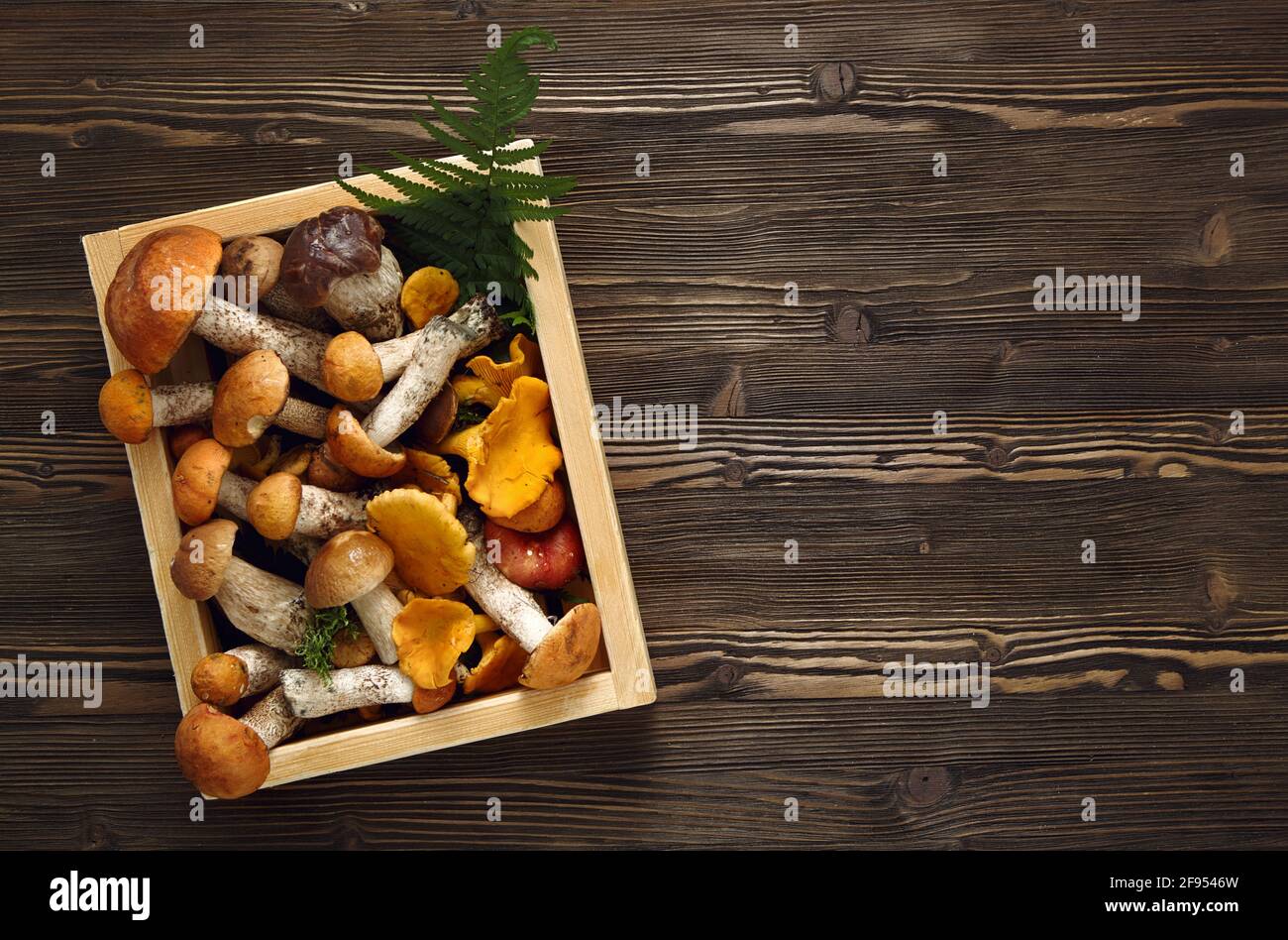 Funghi freschi in una scatola su sfondo rustico di legno scuro. Foto Stock