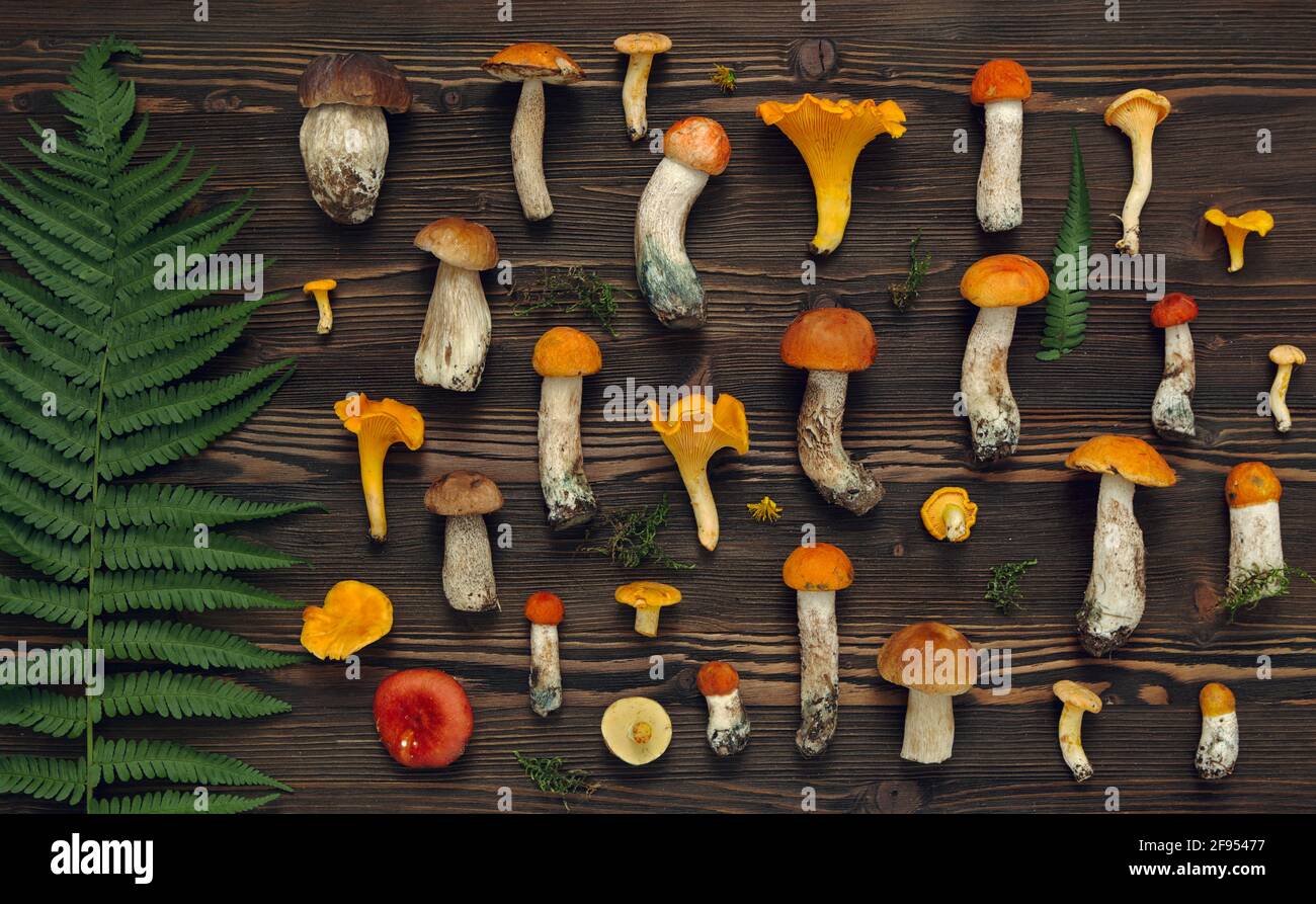 Funghi freschi e foglie di felce su sfondo rustico in legno. Foto Stock