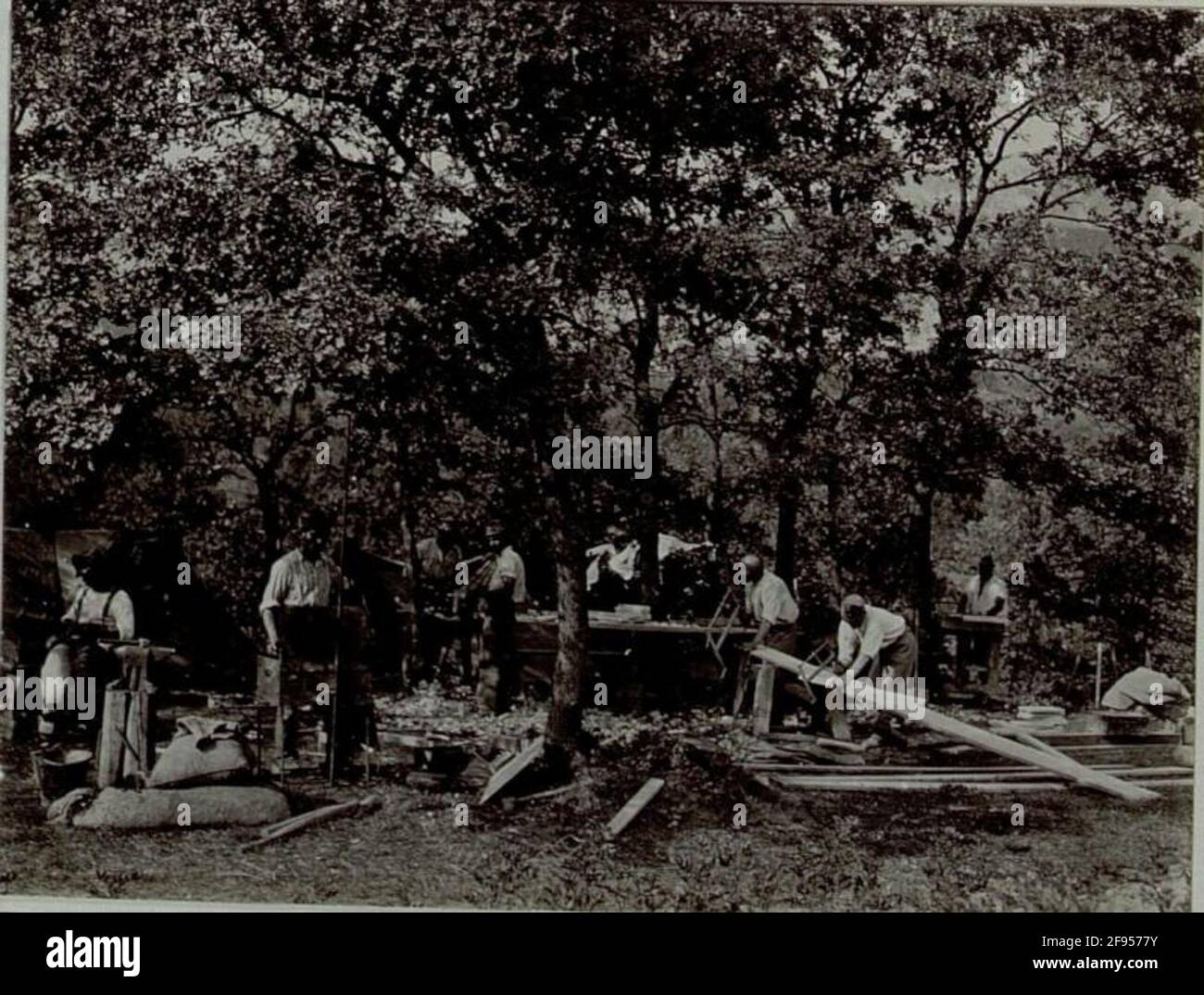 Carro forgiato in un Walde a Gorizia (Görz). Foto Stock