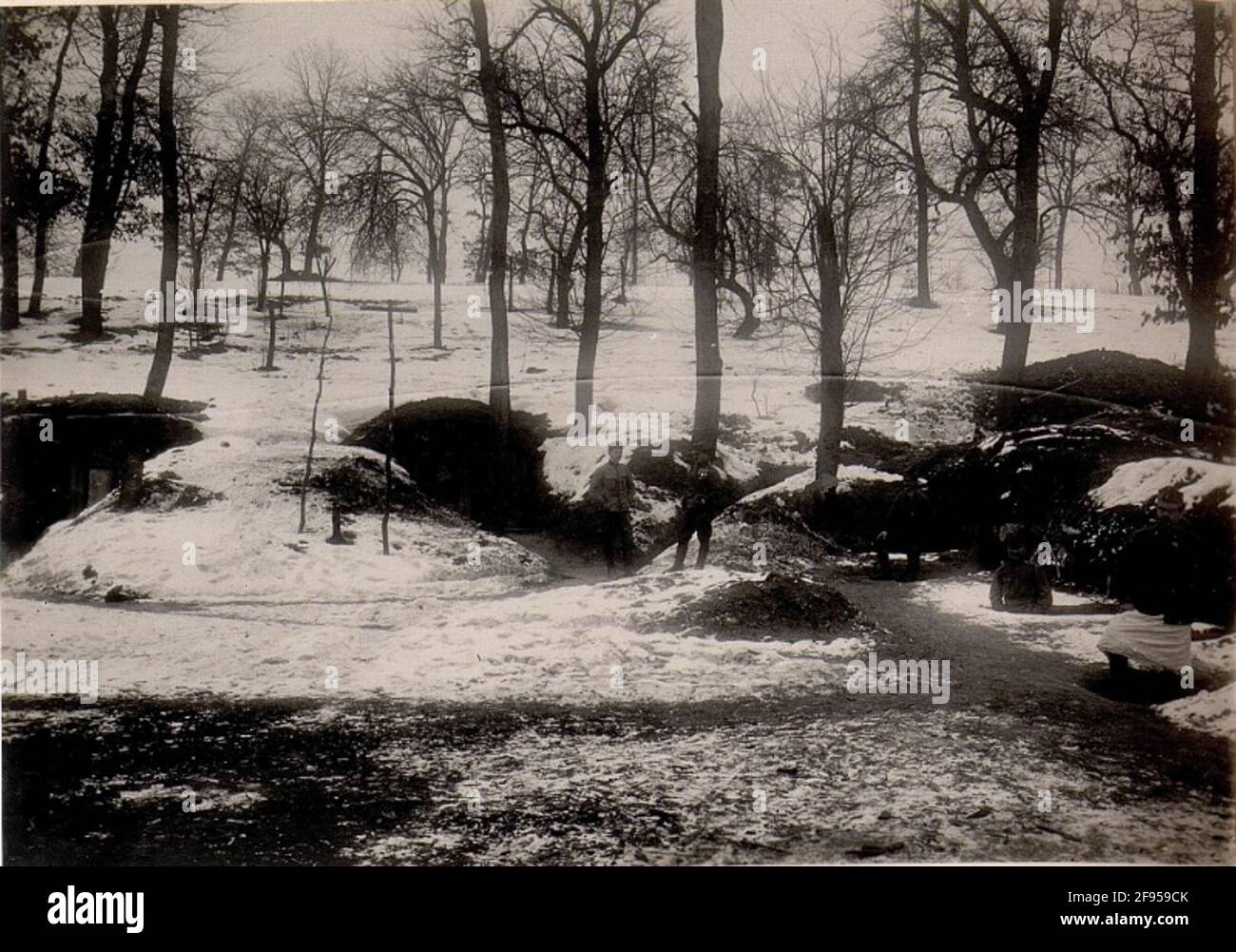Sistemazione invernale nel Walde. Foto Stock