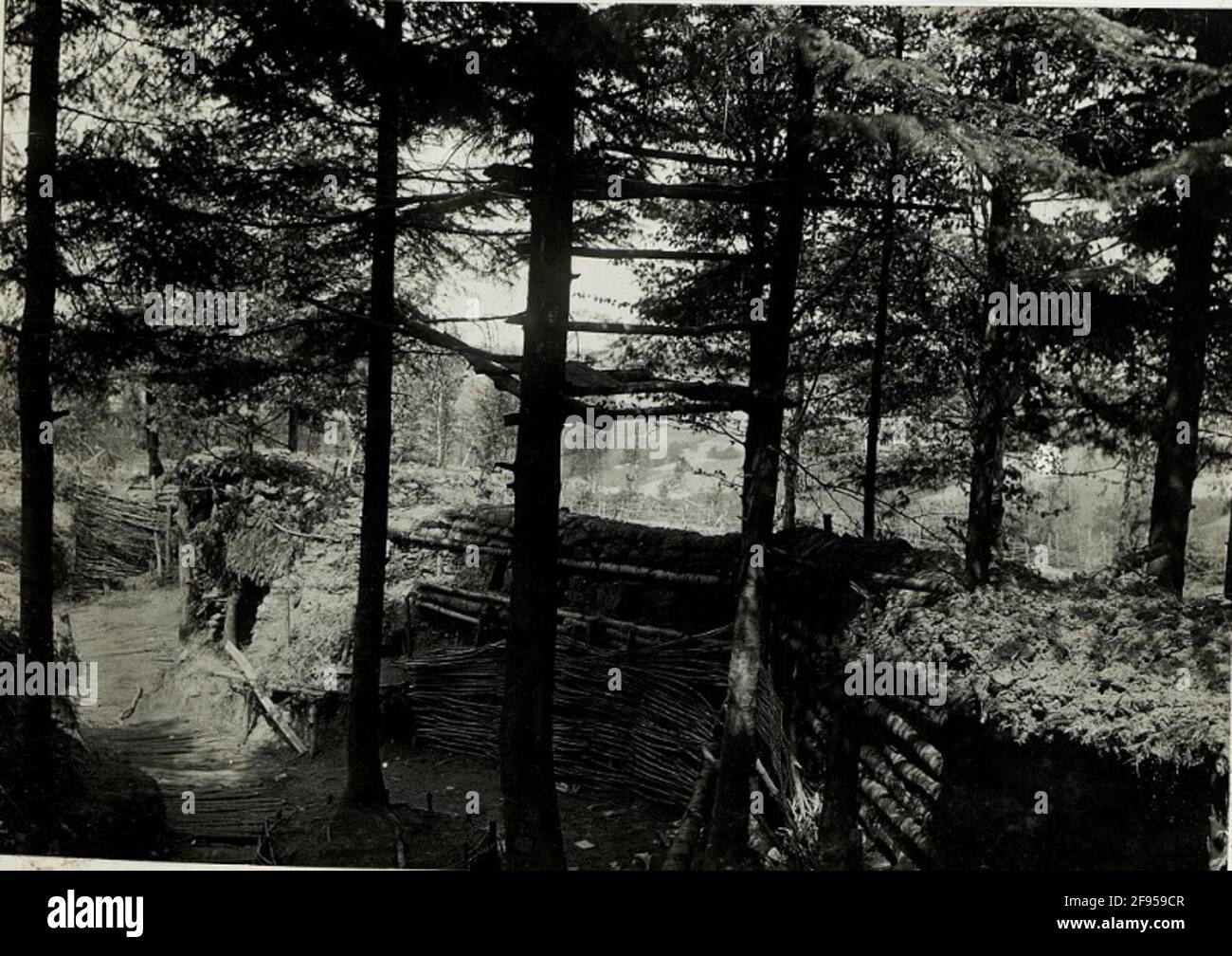 Osservatorio ai margini della foresta. . Foto Stock