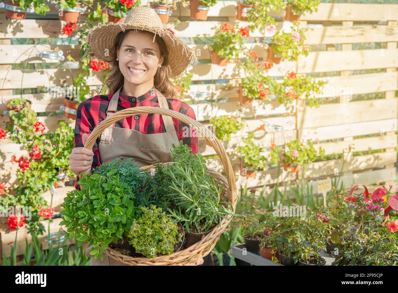 giovane orticoltore femminile guarda un cesto di piante aromatiche come timo e origano Foto Stock