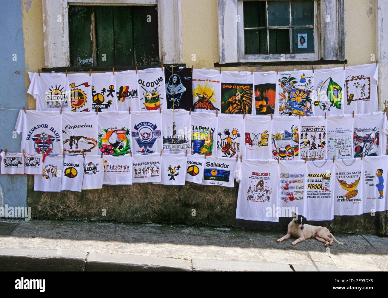 t-shirt in vendita e un cane sulla strada di Pelourinho area Salvador de Bahia Brasile Foto Stock