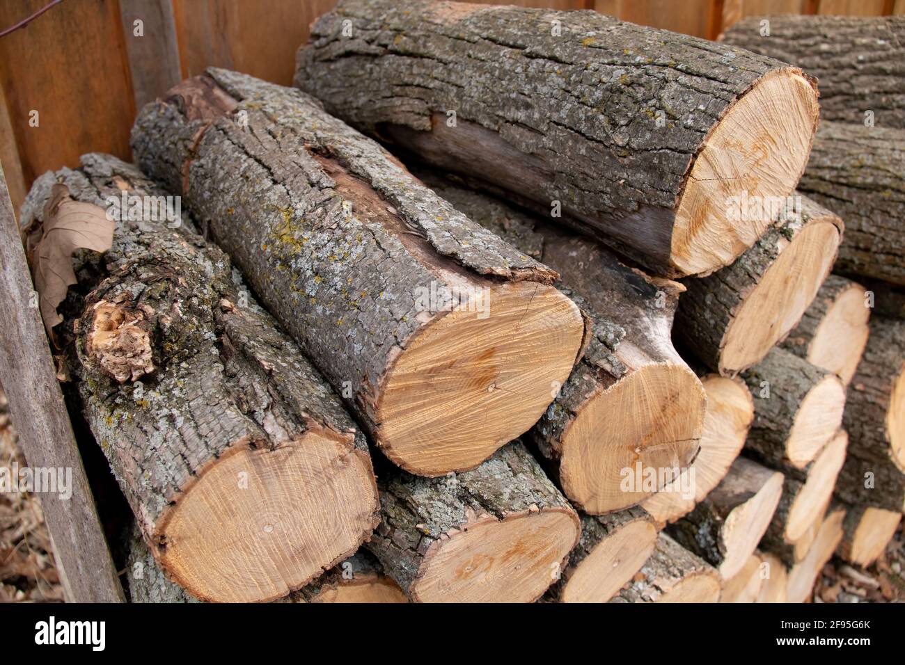 Una pila di tronchi di legno di fuoco tagliato a secco, legno chiaro-colorato con corteccia di muschio attaccato contro un fienile di legno in Ontario, Canada. Vista dall'alto angolata. Foto Stock