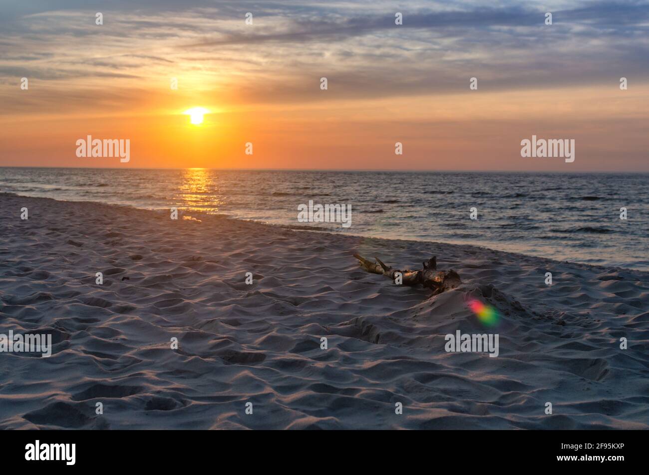 Tramonto sul Mar Baltico. Spiaggia di sabbia. I raggi del sole si riflettono nell'acqua. Il ramo si trova sulla spiaggia Foto Stock