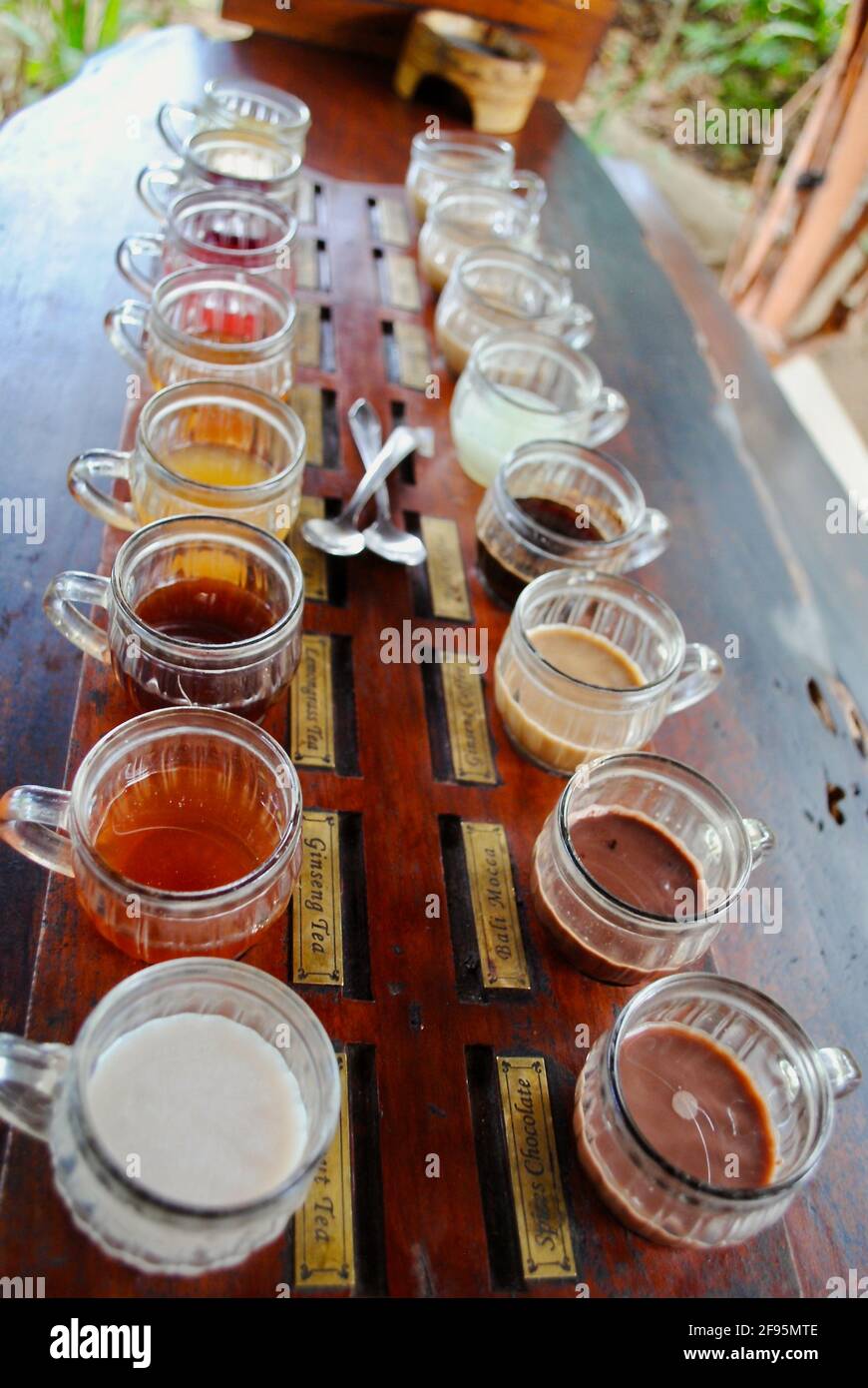 Degustazione di tè e caffè presso la piantagione di caffè di Bali. Caffè e tè coltivati a Bali e Giava. Il caffè Luwak è il più costoso al mondo. Foto Stock